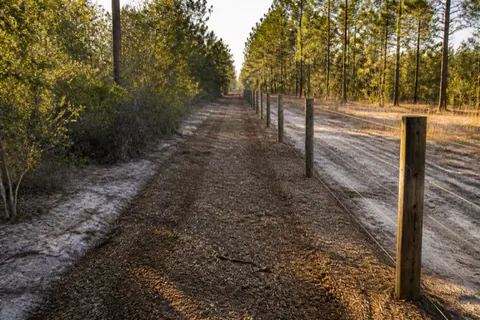 Freshly mulched straight corridor along a ranch fence with weathered cedar posts and pine woods on either side